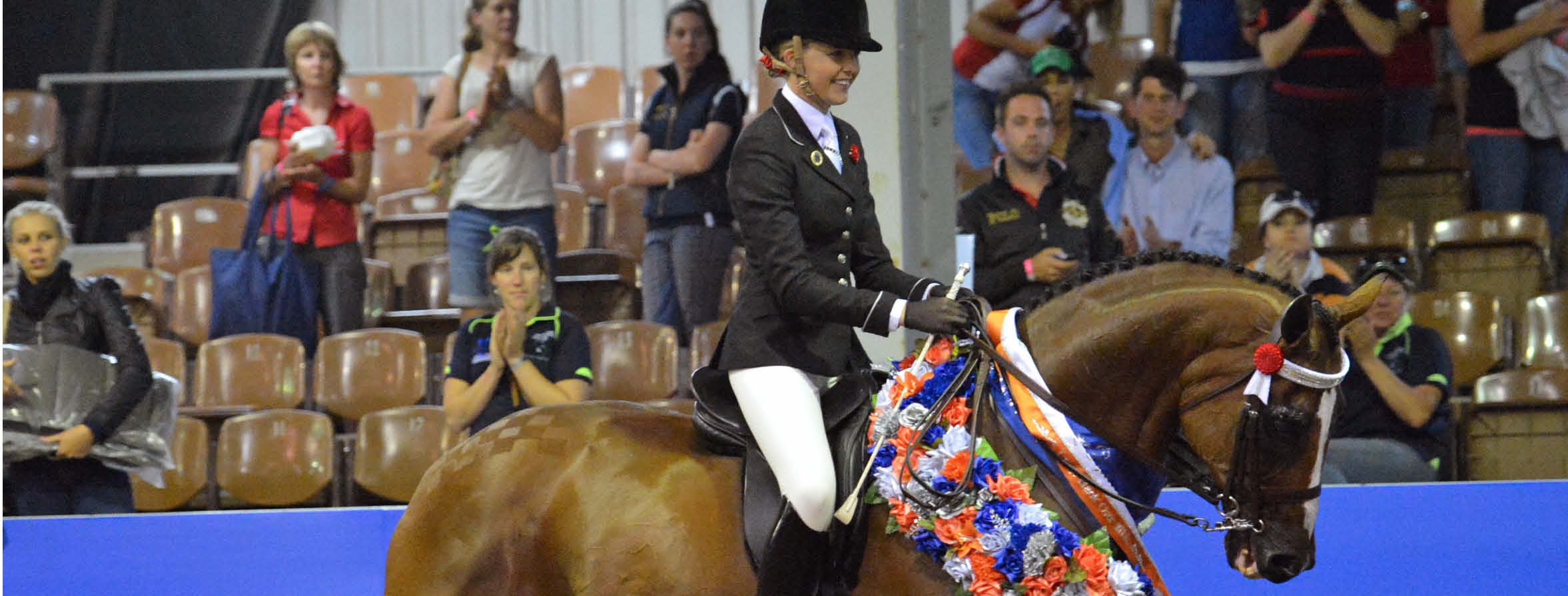 Show Horse Equestrian Australia